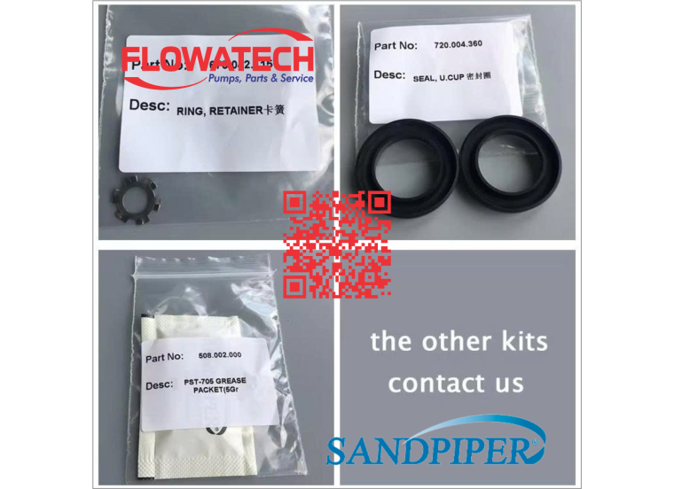 476-227-000 Air End Kit Sandpiper S15/S20/S30 M