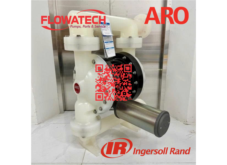 Bơm màng Aro PD20P-FPS-PTT