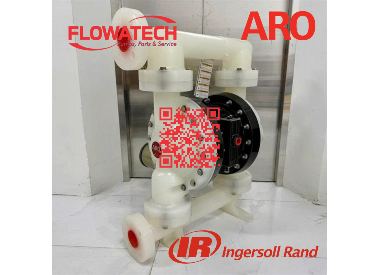 Bơm màng Aro PD20P-FPS-PTT