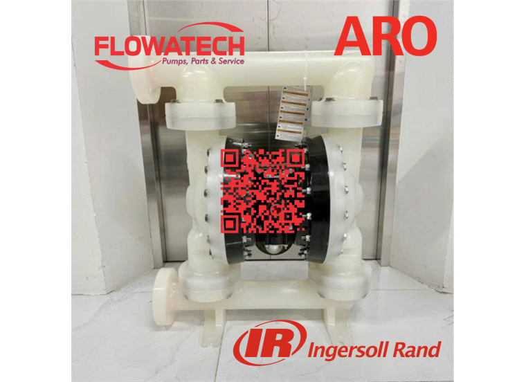 Bơm màng Aro PD20P-FPS-PTT